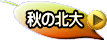 筆者に問合せ