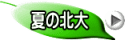 夏の北大