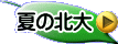 筆者に問合せ