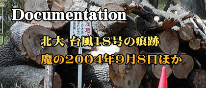 北大　台風18号の痕跡 魔の2004年9月8日ほか