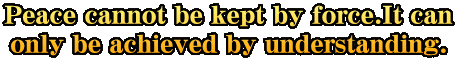 Peace cannot be kept by force.It can only be achieved by understanding.